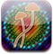Community icon